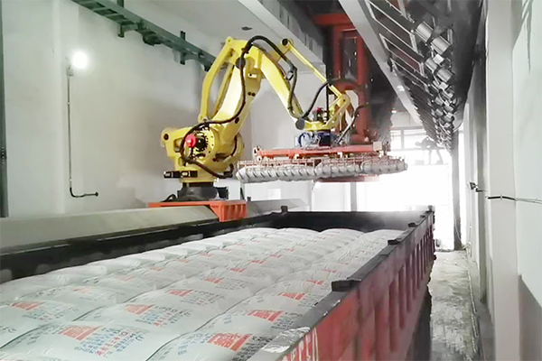 海螺袋装水泥机器人自动装车设备通过重大技术装备认定！