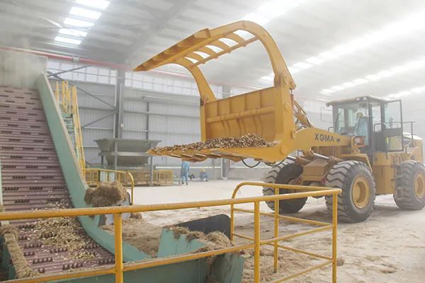 国内第一！枞阳海螺水泥秸秆替代燃料项目一年处理“废物”15万吨