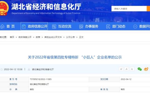 两家水泥企业入选！湖北省公布专精特新 “小巨人”企业名单