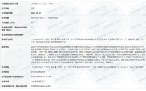 山东申丰水泥集团违反《山东省安全生产条例》被处罚