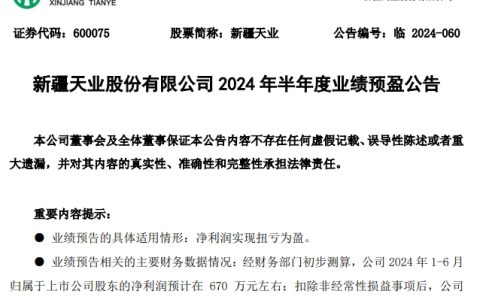 扭亏为盈！这家上市公司公布上半年净利润